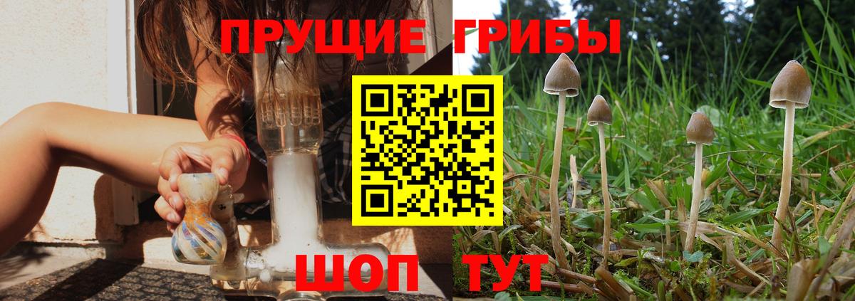 Псилоцибиновые грибы Cubensis  Вход с VPN  Тольятти 