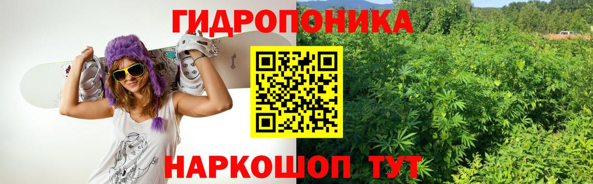 Каннабис гибрид  Канабис Bruce Banner  Тольятти  Вход с VPN  МАРИХУАНА OG Kush  Канабис Amnesia 